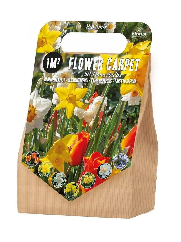 Pachet 50 bulbi Covor de flori 1 m2 Kashmir, Multicolor