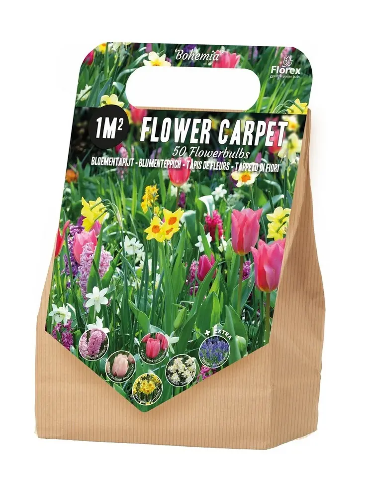 Pachet 50 bulbi Covor de flori 1 m2 Bohemia, Multicolor