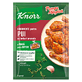 Punga Magica Knorr, mix condimente friptura pui cu ierburi, 25g
