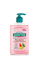 Sapun lichid Antibacterian Sanytol bucatarie, 250ml