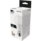 Bec LED glob Entac, E27, 18 W (116 W), 1820 lm, 6400 K, Alb rece