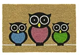 Covoras intrare Miria Owls Decorino, fibra de cocos, 40x60 cm, Bej