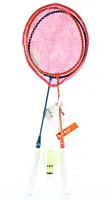 Set badminton Top Life, 4 piese, Multicolor