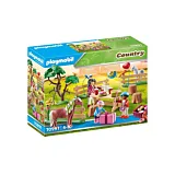 Set Playmobil Country Ziua copiilor la ferma poneilor 70997, 81 piese