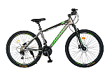 Bicicleta de munte Carpat C2999H, aluminiu, 29", Gri/Negru/Verde
