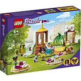 LEGO Friends Locul de joaca al animalutelor 41698