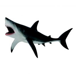 cremă de articole de rechin