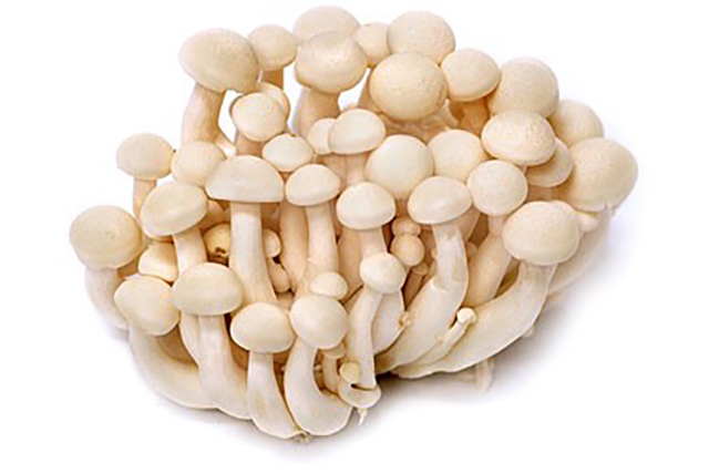ciuperci mici