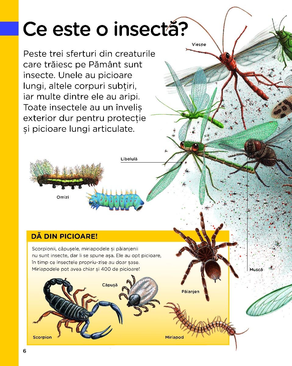 Paraziți în insectele sociale