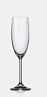 Pahar sampanie, sticla cristalina, 18 cl, Transparent