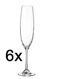 Set 6 pahare sampanie Milvus, sticla cristalina, 250 ml, Transparent
