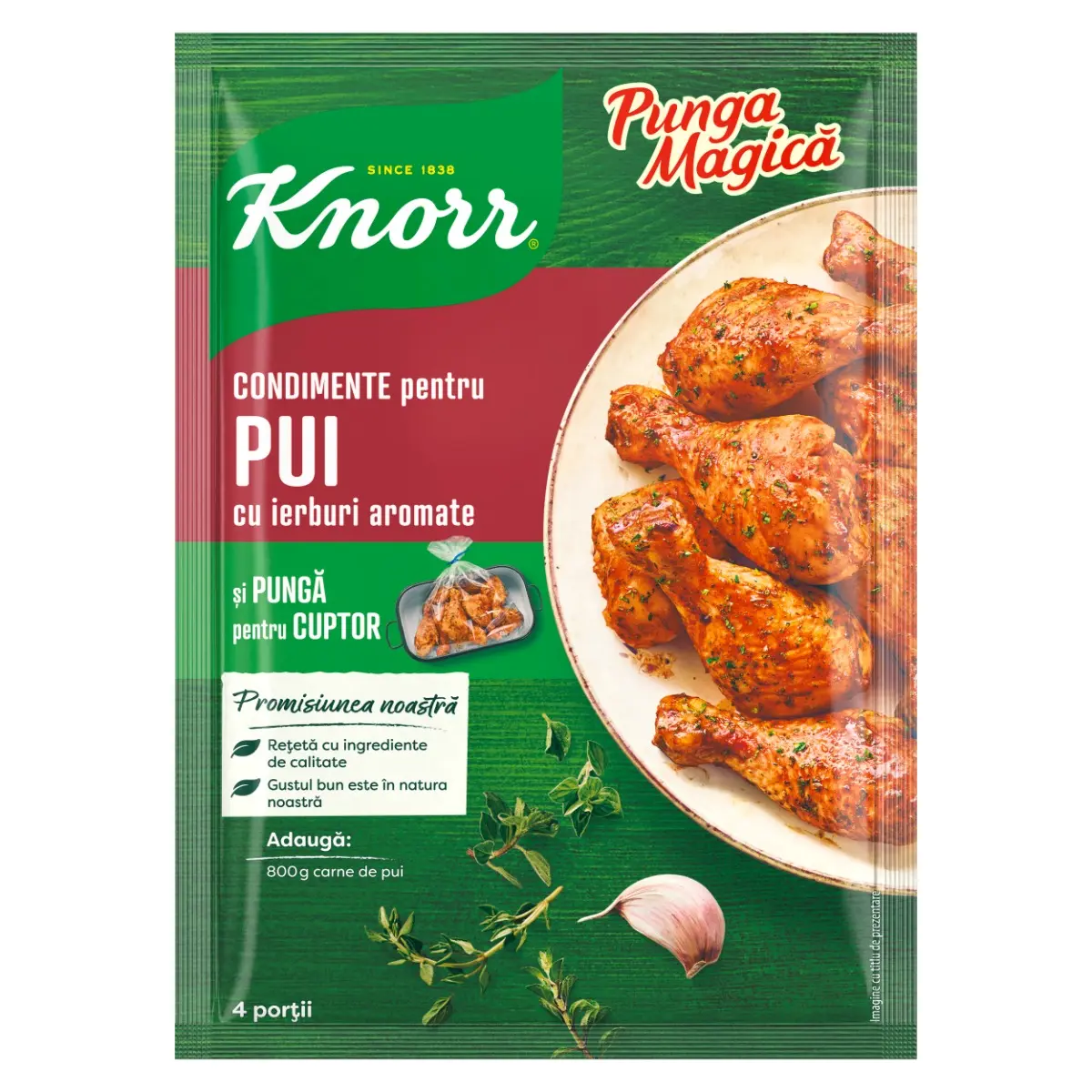 Punga Magica Knorr, mix condimente friptura pui cu ierburi, 25g