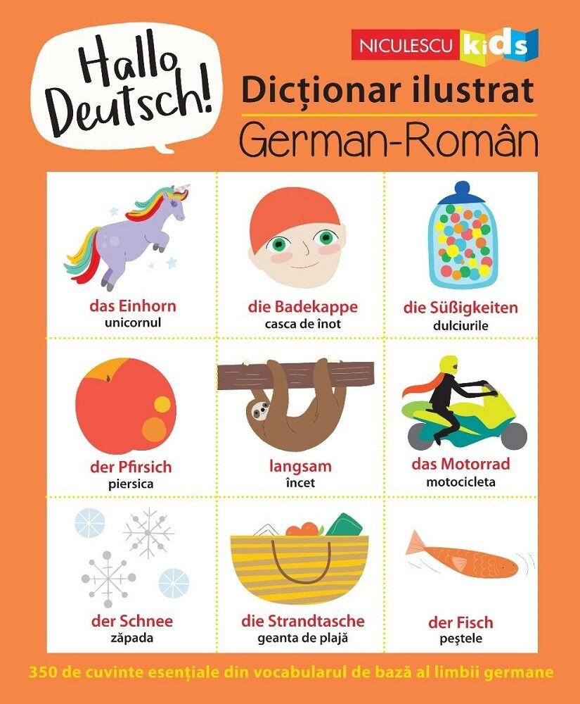 Hallo Deutsch! Dictionar ilustrat german-roman