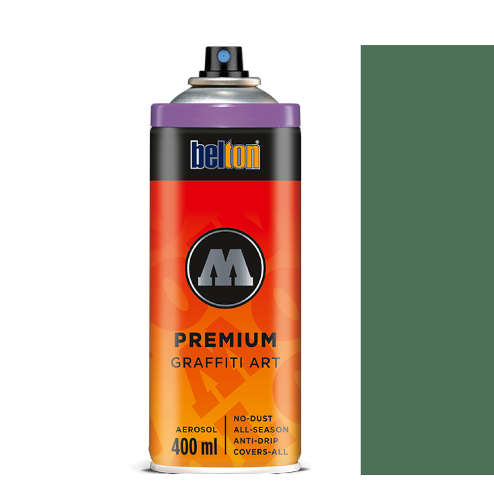 Spray Belton Premium 400 ml 134 swamp