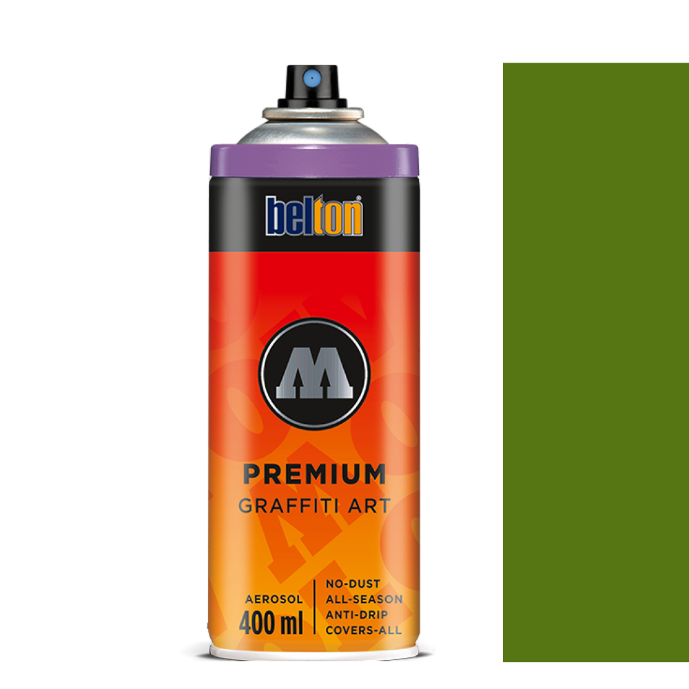 Spray Belton Premium 400 ml 164 fern green