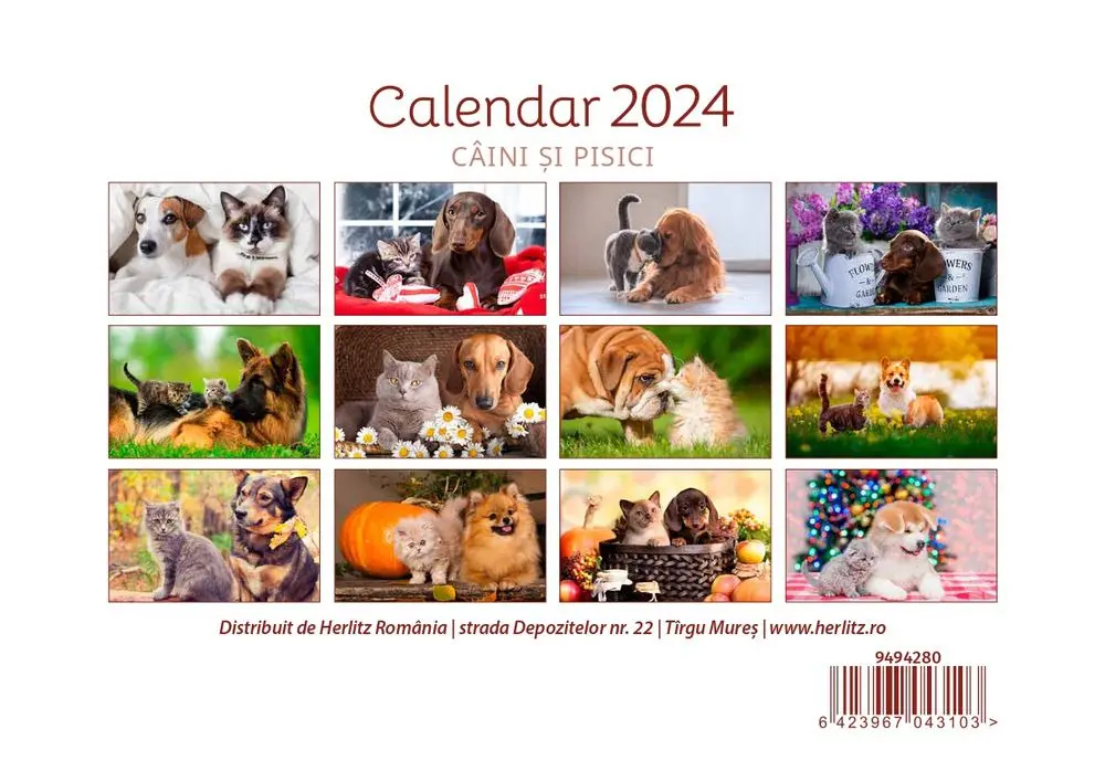 Calendar birou 2024 Herlitz, model caini si pisici, Multicolor
