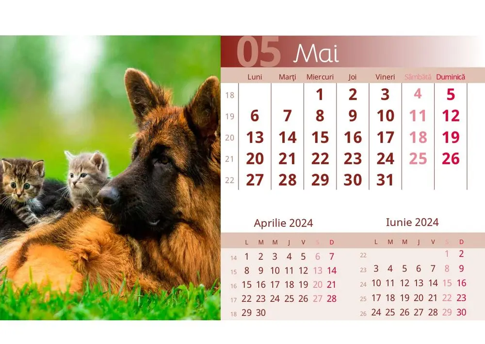 Calendar birou 2024 Herlitz, model caini si pisici, Multicolor