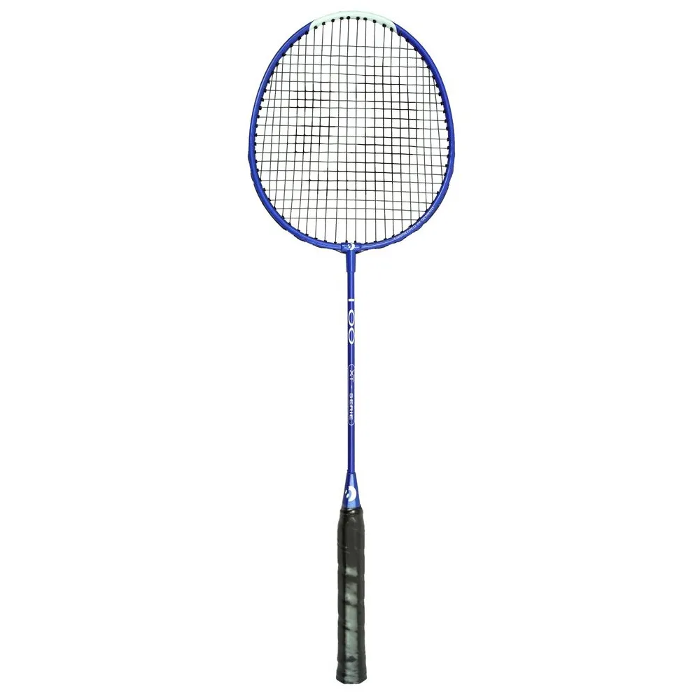 Racheta badminton Best Sporting, 66.5x20.5 cm, Multicolor
