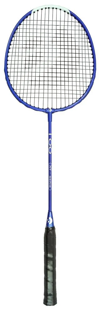 Racheta badminton Best Sporting, 66.5x20.5 cm, Multicolor