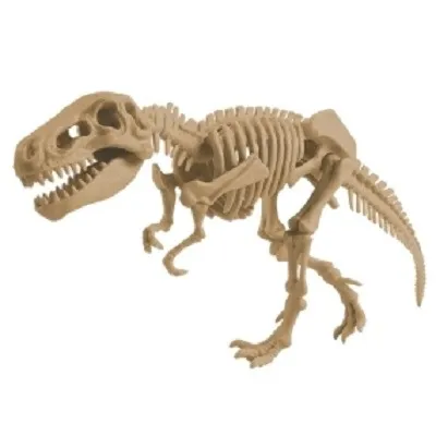 Set dig it cu schelet T-Rex