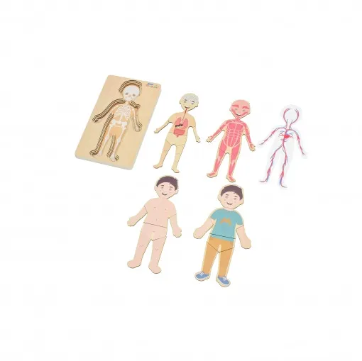 Jucarie educativa Puzzle Anatomie Montessori, Multicolor