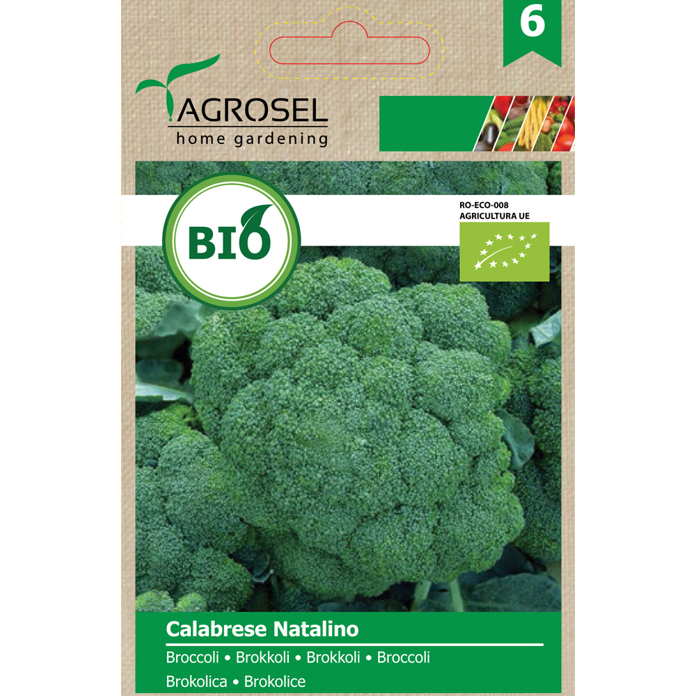Seminte Broccoli Calabrese Natalino ECO *