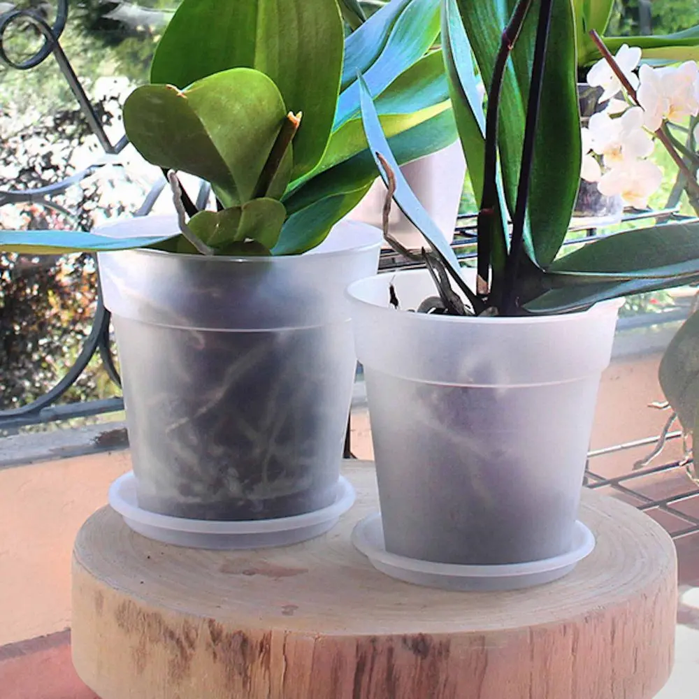 Farfurie pentru ghiveci de orhidee, 11.5 cm, Alb