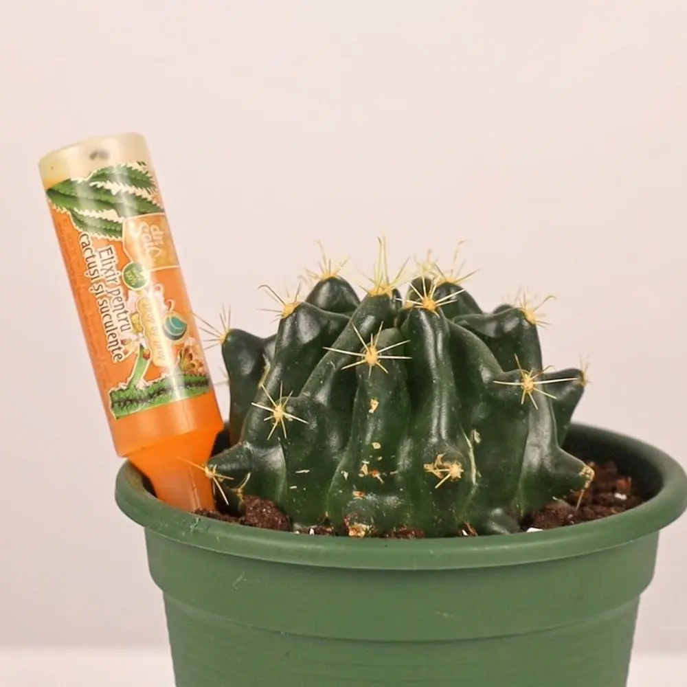 Ingrasamant pentru cactusi si suculente Dr.Soil, 32 ml