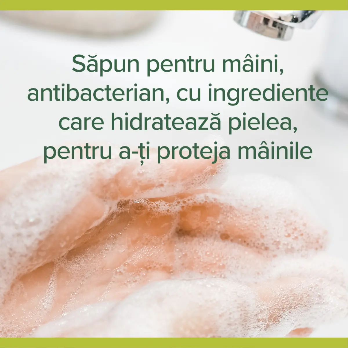 Sapun lichid Palmolive Hygiene Plus Propolis, antibacterian, 300ml