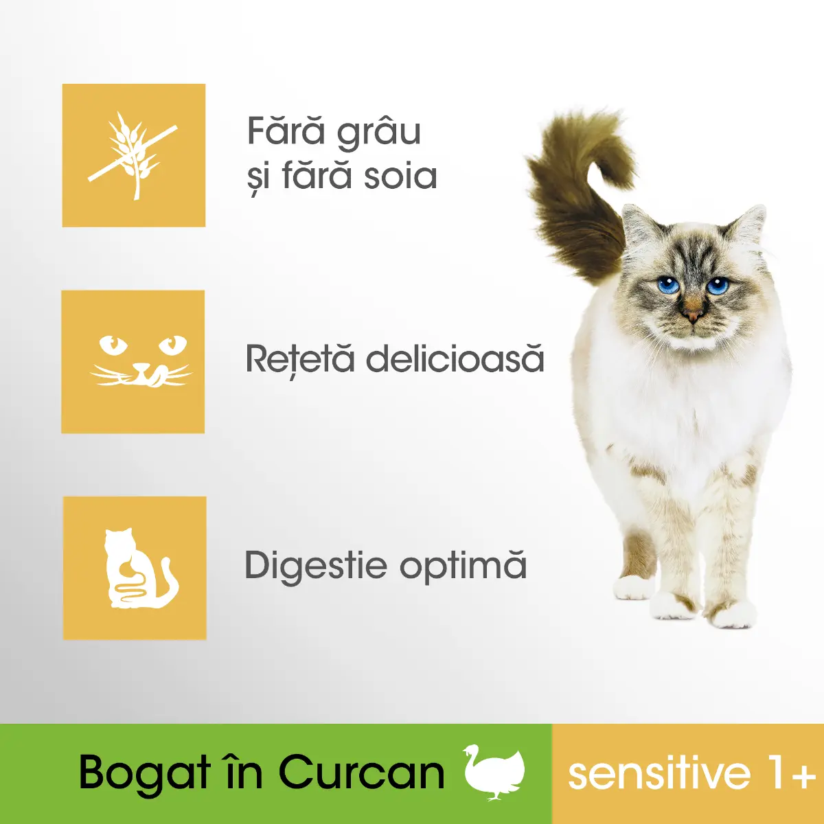 Hrana uscata Perfect Fit de curcan pentru pisici sensibile adulte 750 g