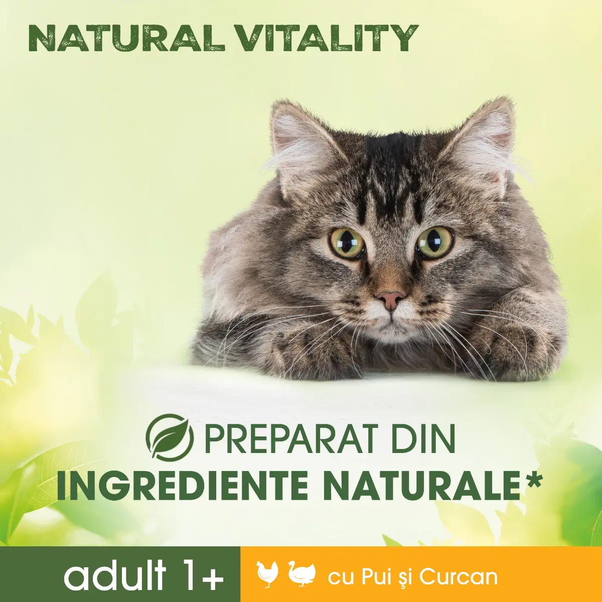 Hrana uscata pentru pisici Perfect Fit Nature Vital, Pui si Curcan, 650 g