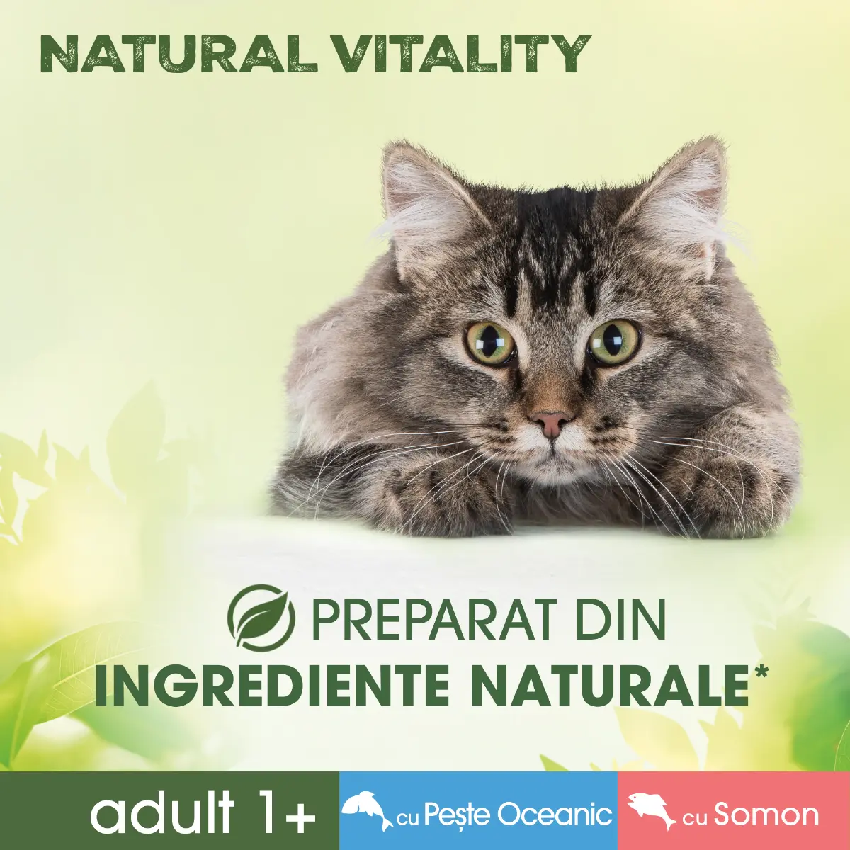 Hrana umeda Perfect Fit Natural Vitality pentru pisici cu peste oceanic si somon 6x50g