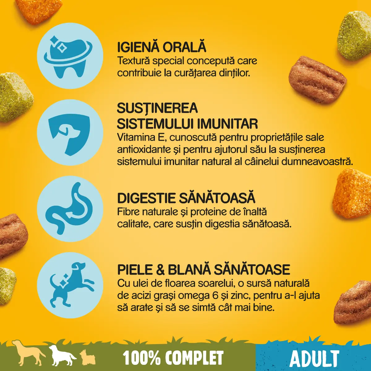Hrana uscata pentru caini adulti Pedigree cu vita si pasare, 10 kg