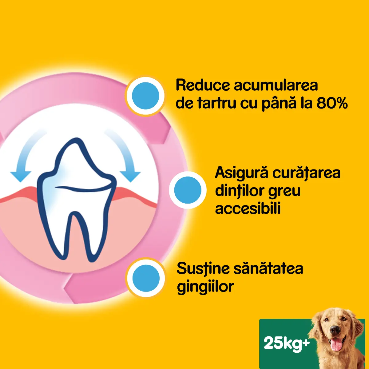 Batoane dentare Pedigree DentaStix pentru caini de talie mare, 270 g