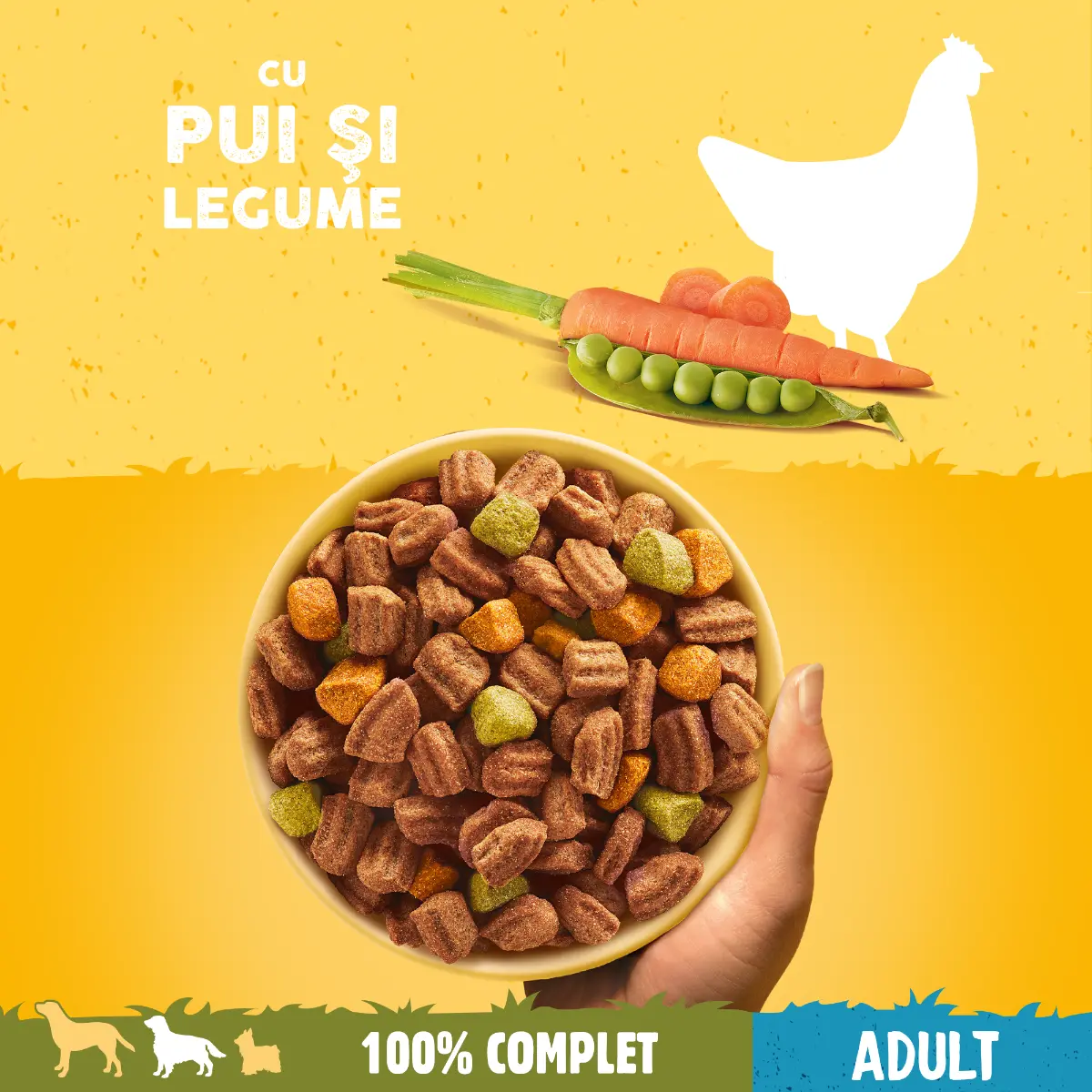 Hrana uscata pentru caini adulti Pedigree cu pui si legume, 3 kg