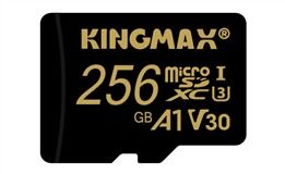 Card memorie Kingmax Promax 256 GB + Adaptor
