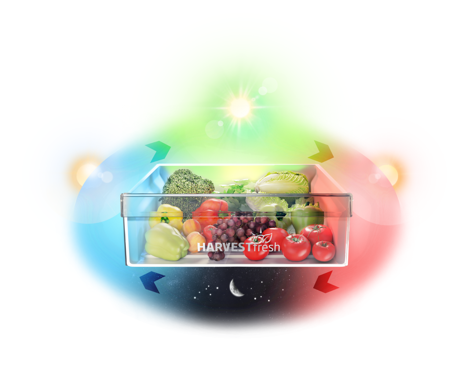 Combina frigorifica Beko, RCNA366E40ZXBRN, 324 Litri, H 185.2cm, Clasa E, Gri, HarvestFresh, Neofrost Dual Cooling, Everfresh+